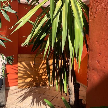 Villa Coyoacan Mexiko-Stadt Exterior foto