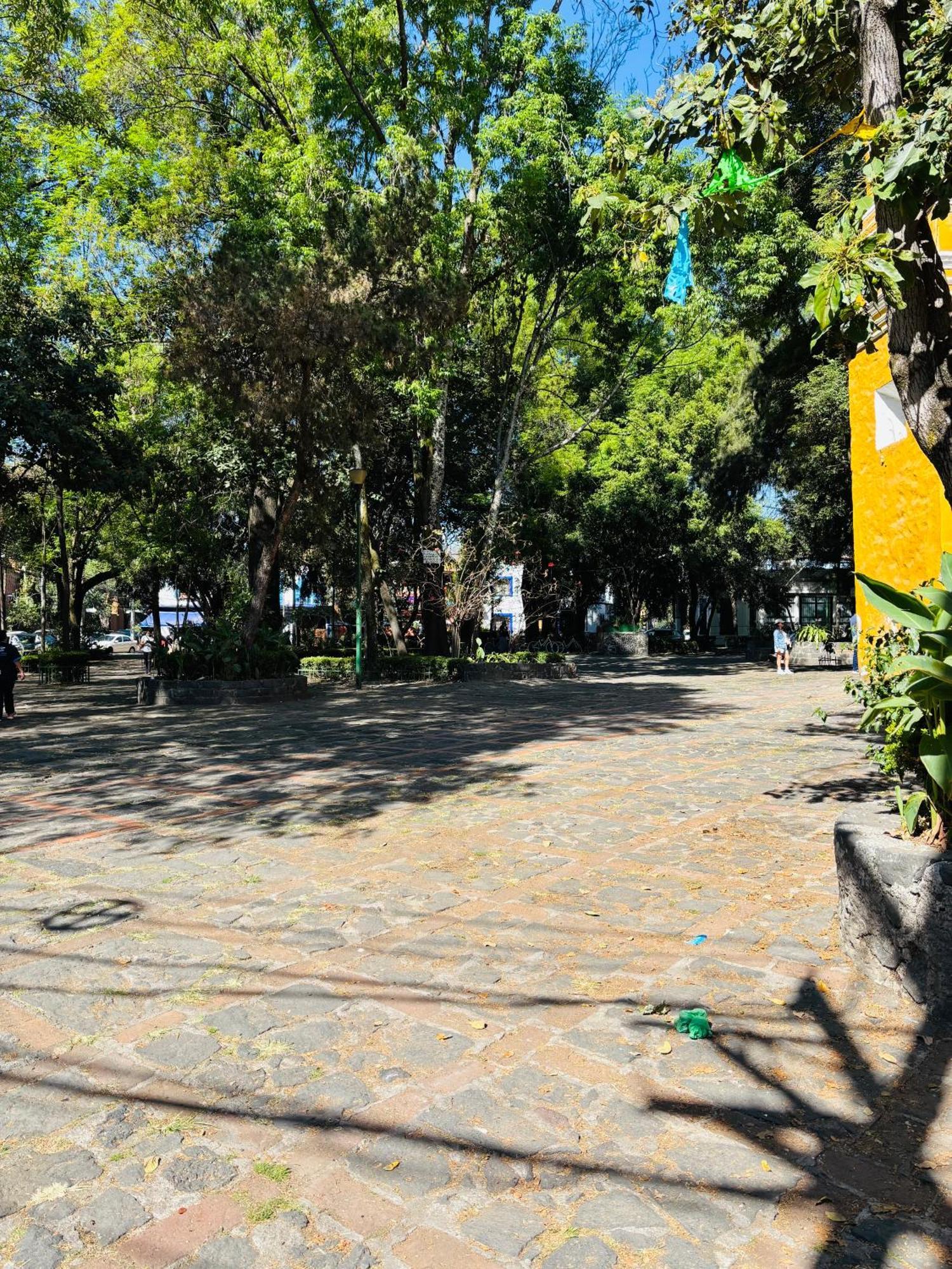 Villa Coyoacan Mexiko-Stadt Exterior foto